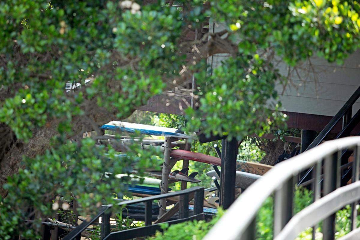 Wilderness Beach House Backpackers Lodge Exterior foto