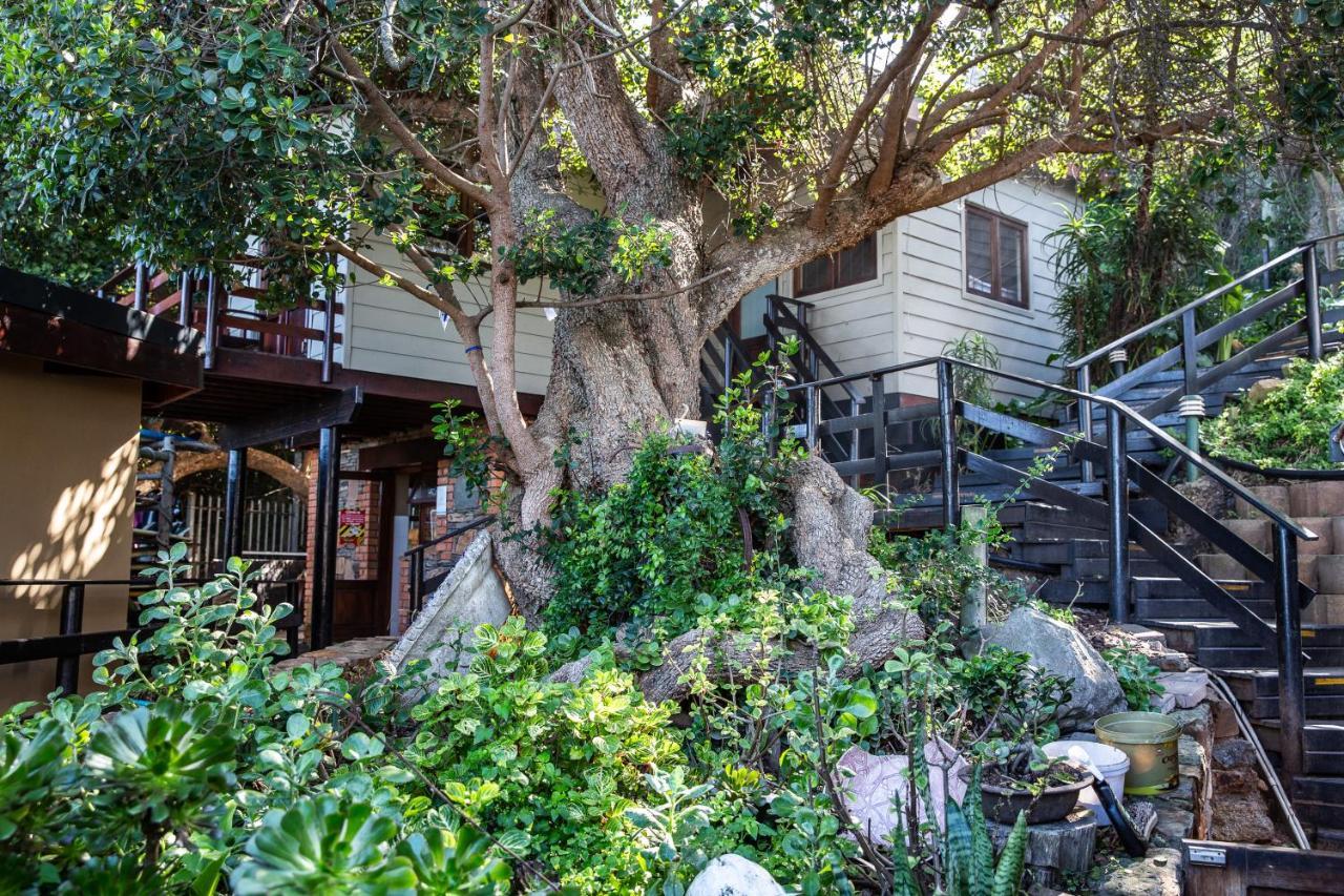 Wilderness Beach House Backpackers Lodge Exterior foto