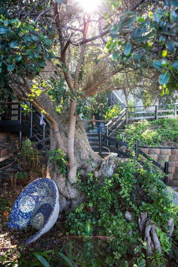Wilderness Beach House Backpackers Lodge Exterior foto