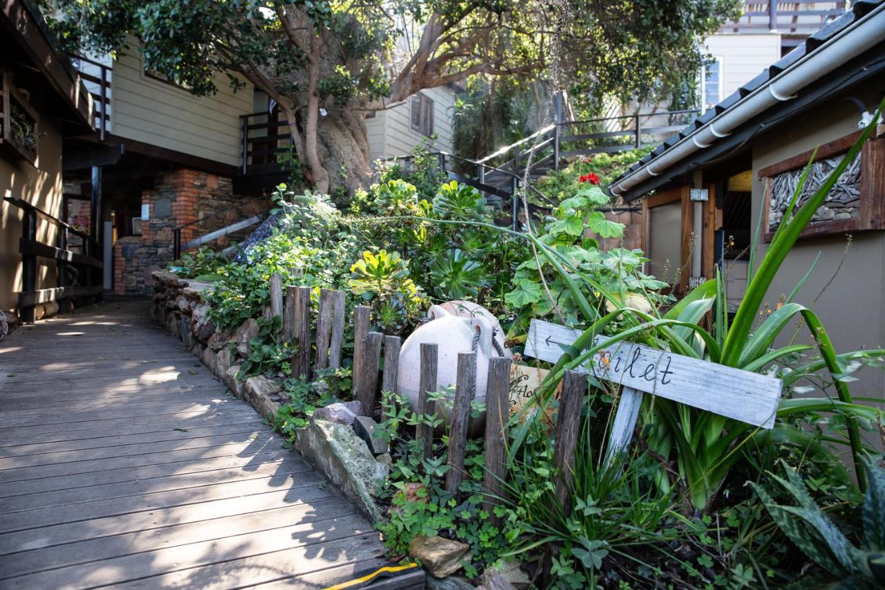 Wilderness Beach House Backpackers Lodge Exterior foto